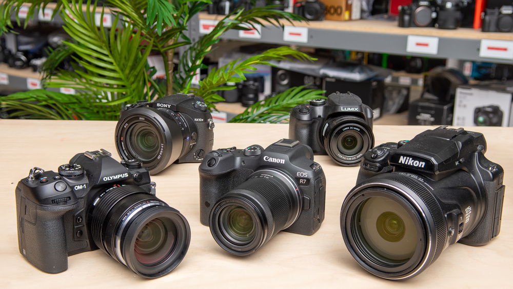 Top Canon Cameras for Wildlife Photography in 2024